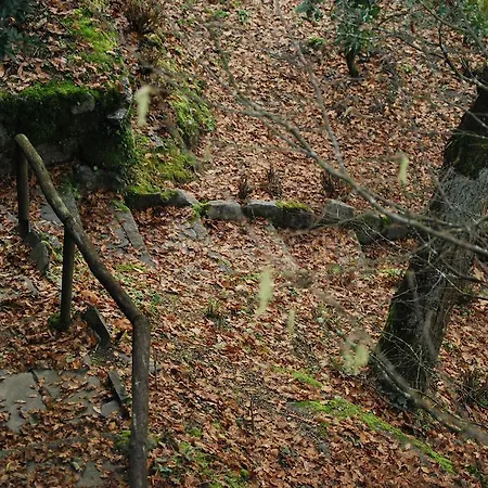 Casa Dos Canais, River Marco de Canavezes