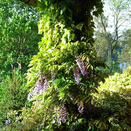 Casa Dos Canais, River Marco de Canavezes