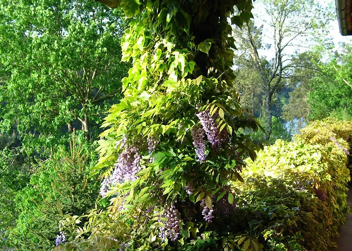 Casa Dos Canais, River Марку-ди-Канавезиш